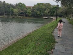 -象山森林公园