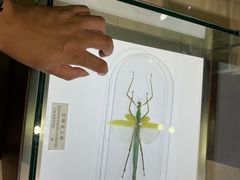 -上海昆虫博物馆