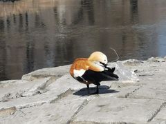 -黛秀湖公园