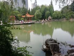 -西苑公园