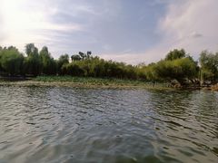 -长春市南湖公园