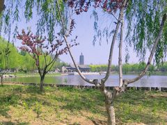 -西海子公园