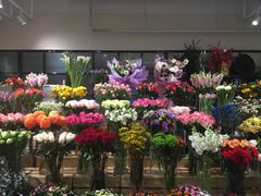 -T11生鲜超市(朝阳公园店)