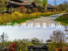 -贵州百里杜鹃风景名胜区