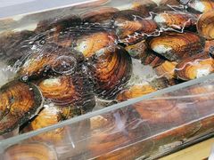 -十八字金银饰·拼豆·开蚌手工体验团建(君太百货店)