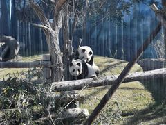 -鄂尔多斯野生动物园