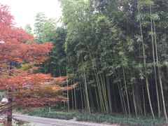 -苏州河梦清园环保主题公园