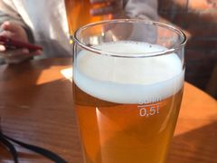 -Boxing Cat Brewery拳击猫精酿啤酒馆(永福店)