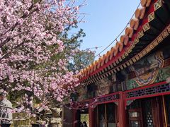 -颐和园