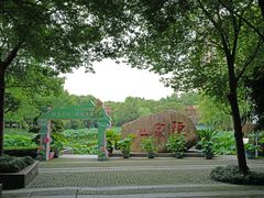 -陈家山荷花公园