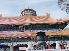 -颐和园