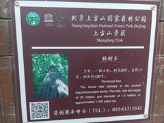 -北京上方山国家森林公园