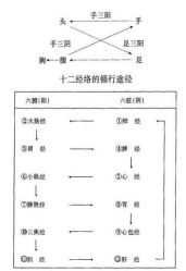 -香薇妮丝·定制减肥·身材管理
