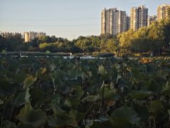 -太阳宫公园