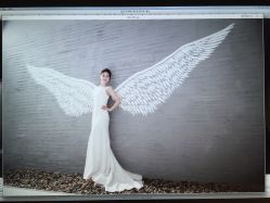 点击看大图 韩国艺匠ARTIZ STUDIO-THE QUEEN(北京店)