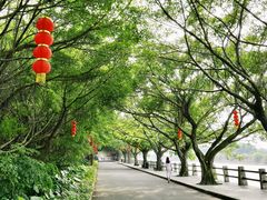 -大湾区中央湿地公园