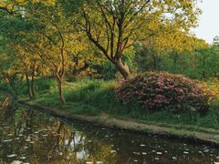 -西溪国家湿地公园