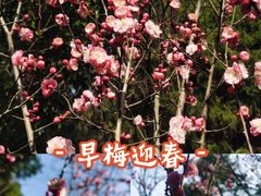 -富乐山