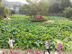 -西南交通大学(峨眉校区)