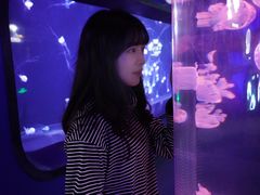 -青岛海底世界-水族馆