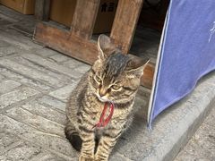 -安仁古镇