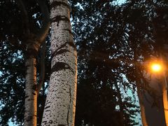 -北京邮电大学