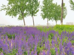 -汉长安城未央宫国家考古遗址公园