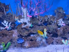 -成都浩海立方海洋公园