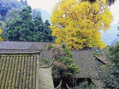 -青城山