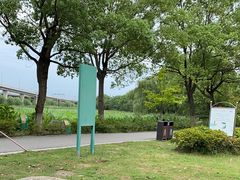 -荷塘月色湿地公园·向阳花洲