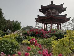 -大慈恩寺(大雁塔)
