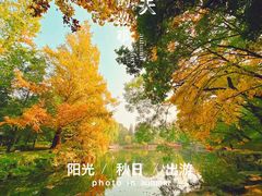 -颐和园
