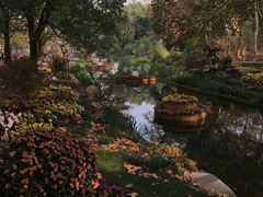 -上海共青森林公园