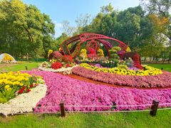 -上海共青森林公园