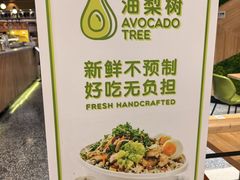 -油梨树AVOCADO TREE(嘉里中心店)