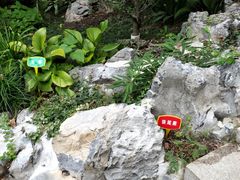 -荆川公园