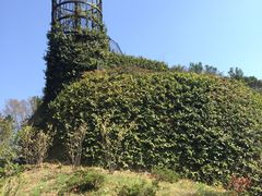 -三鹰之森吉卜力美术馆