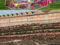 -密云玫瑰情园