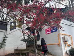 -桃源山庄·水蜜桃采摘·柴火鸡·烧烤团建(龙泉山店)