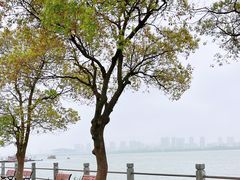 -无锡蠡湖国家湿地公园-蠡园