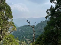 -北京上方山国家森林公园