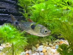 -上海海洋水族馆