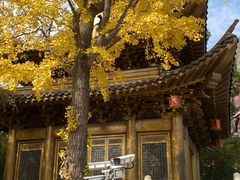 -上海东林寺(金山区)