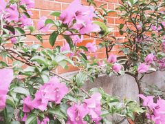 -上海鲁迅故居