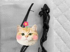 -邢大夫动物医院