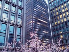 -陆家嘴世纪金融广场