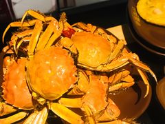 -鼎盛江山美食自助(欢乐城店)
