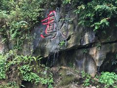 -靖西鹅泉风景区