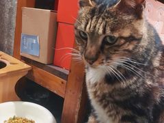 -猫的天空之城概念书店(苏州平江店)