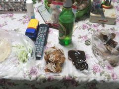 -宋柏树北京果木烤鸭(安东卫店)